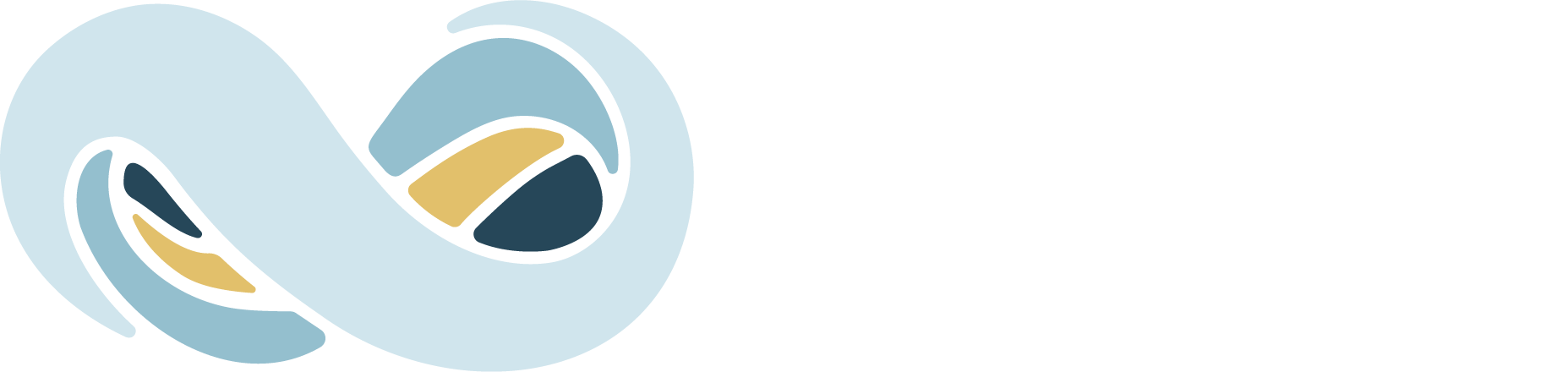 Oracle NetSuite